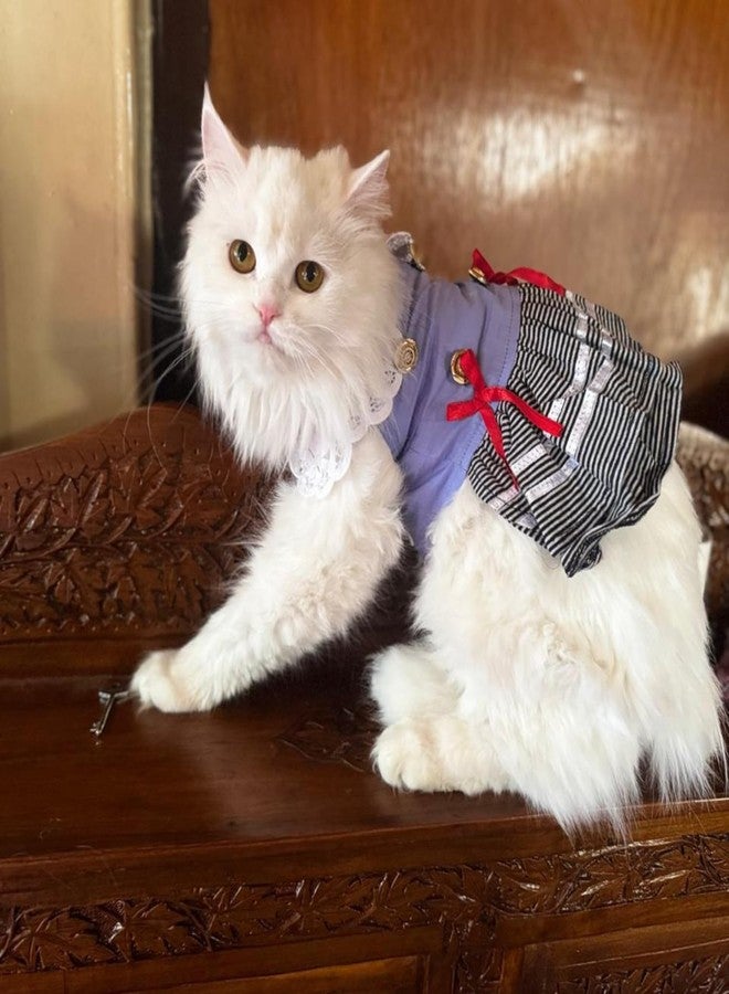 Lulala Pet Cloth Cute Pet Sundress Ribber Work Pet Princess Dress Puppy Summer Apparel Clothes Pet Skirt Shirt with Ruffles lace on Collar for Small Pets(18 Inch,Light Blue) - Image 5